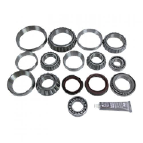 Eaton DT402 Differential Bearing Kit